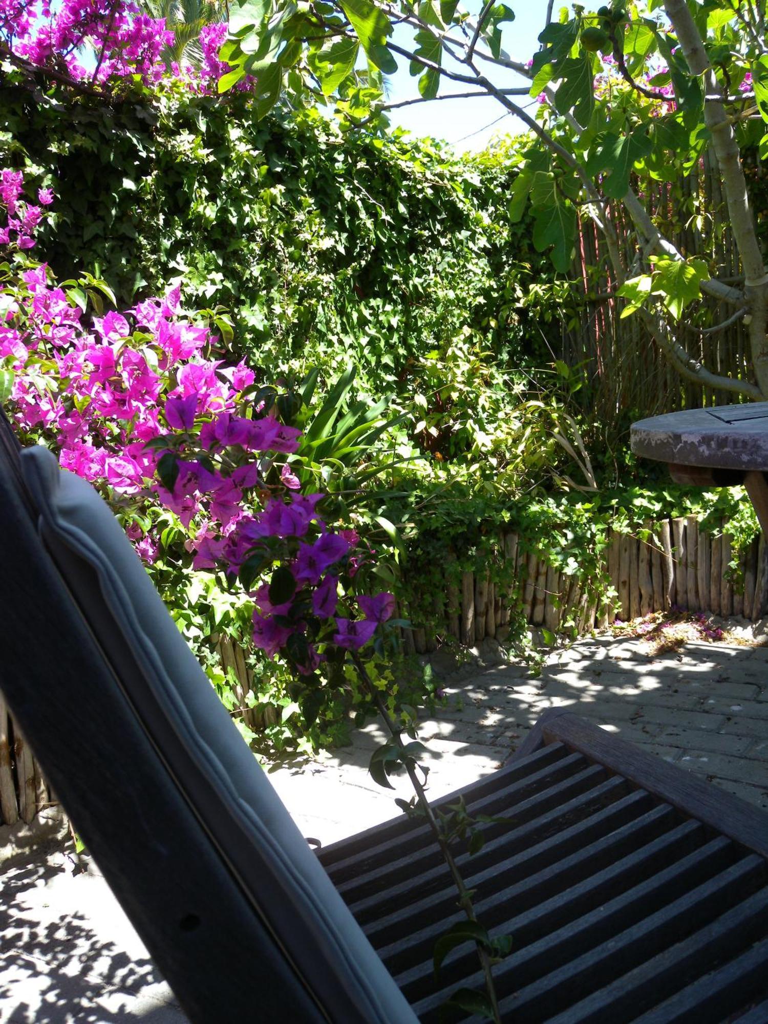 Capetown 4U Guesthouse Блуберґстранд Екстер'єр фото