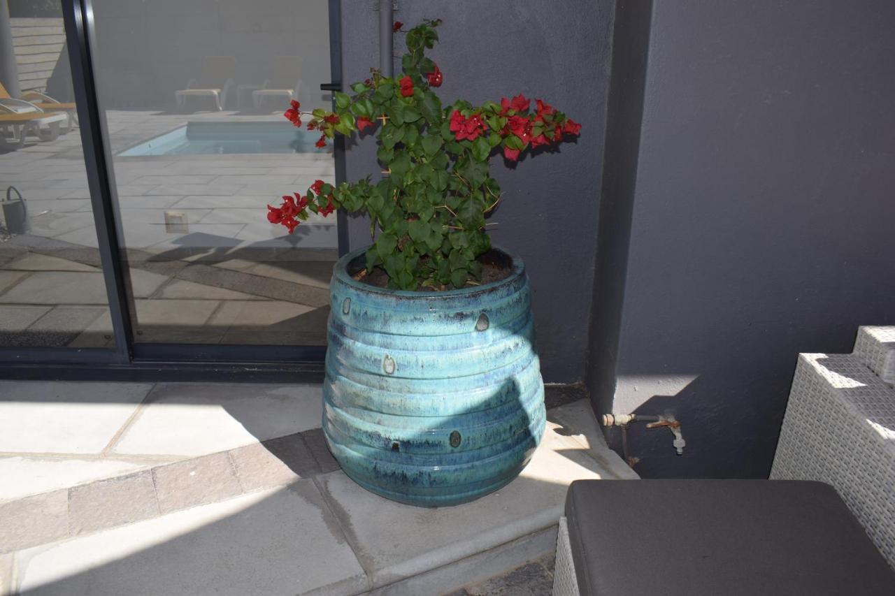 Capetown 4U Guesthouse Блуберґстранд Екстер'єр фото